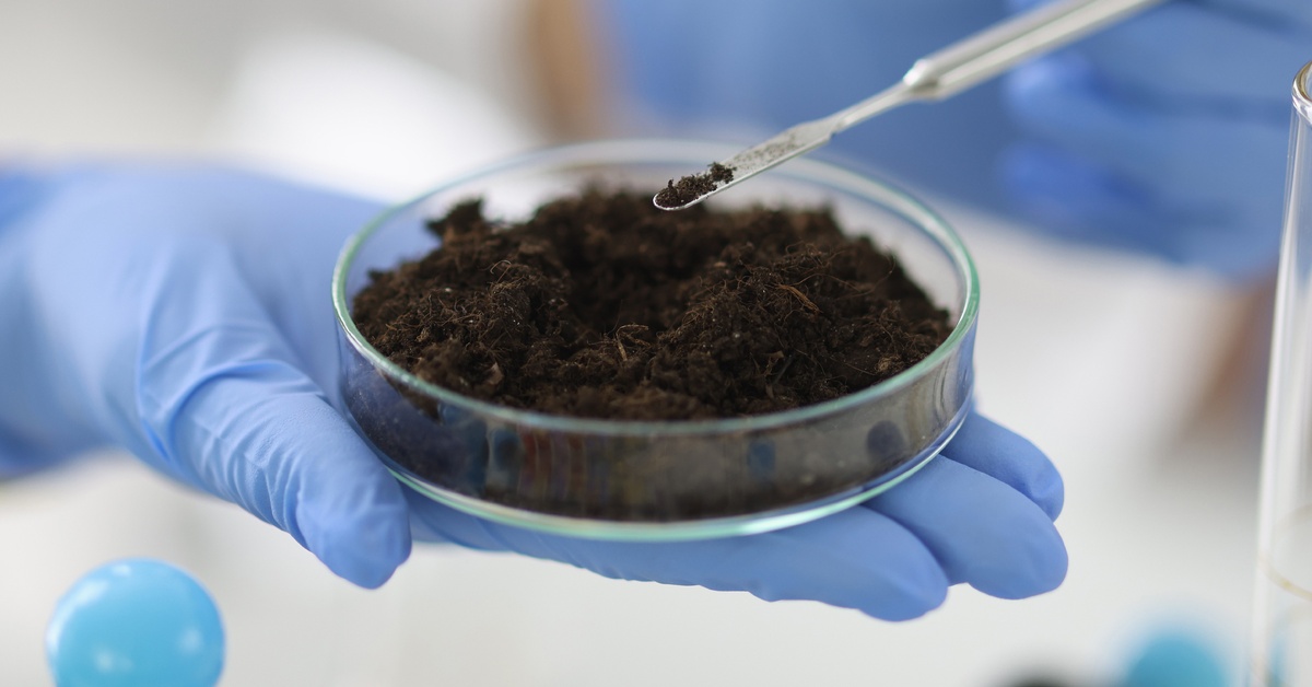 A gloved hand holds up a petri dish full of soil. They are using a scooper to pull up a small sample of soil.