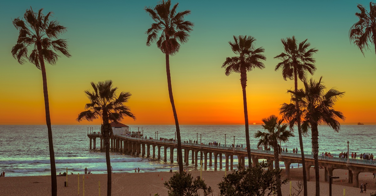 The silhouettes of several palm trees in front of a dock that starts on a beach and goes into the ocean.