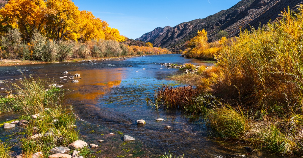 A wide river cutting through some brush on either side of it. The trees on the bank have orange, autumn colored leaves.
