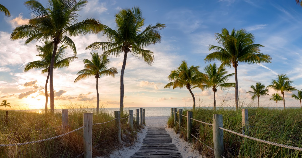 A wide shot of a roped off pathway with palm trees on either side of it. The path leads toward a beach at sunset.
