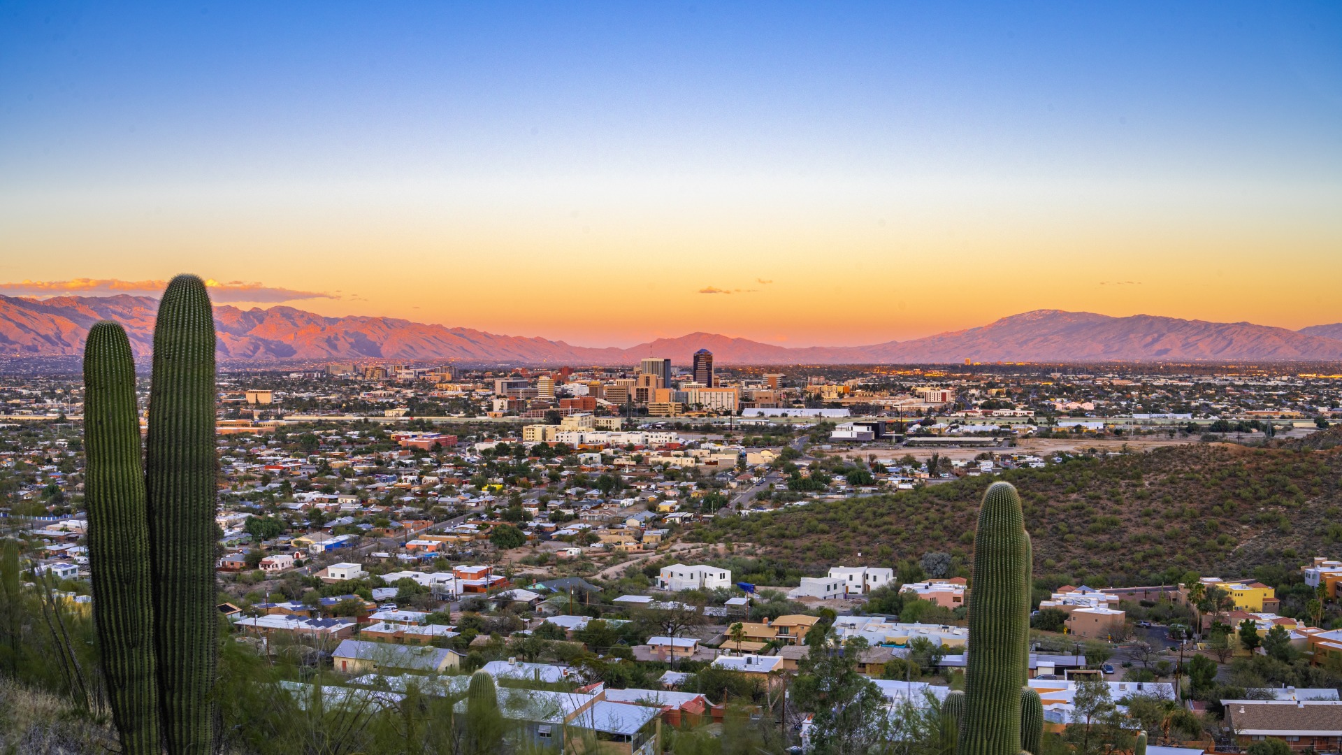 A wide angle view of the city of Tucson, Arizona. There are several cacti on the hill in front of the city.