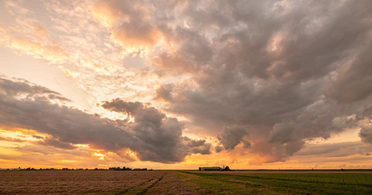 A wide open farmland field at sunset. The colors of the sunset are breaking through the cloud cover overhead.