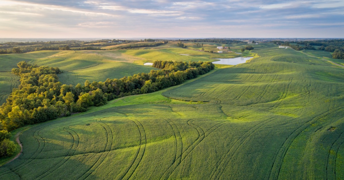 An aerial view of rolling green soybean fields in Missouri. There are several tracks through the fields made by machines.