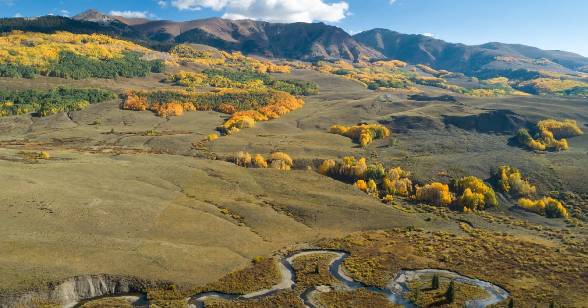 A beautiful landscape covered in yellow and green trees. There are mountains in the distance and a winding river nearby.