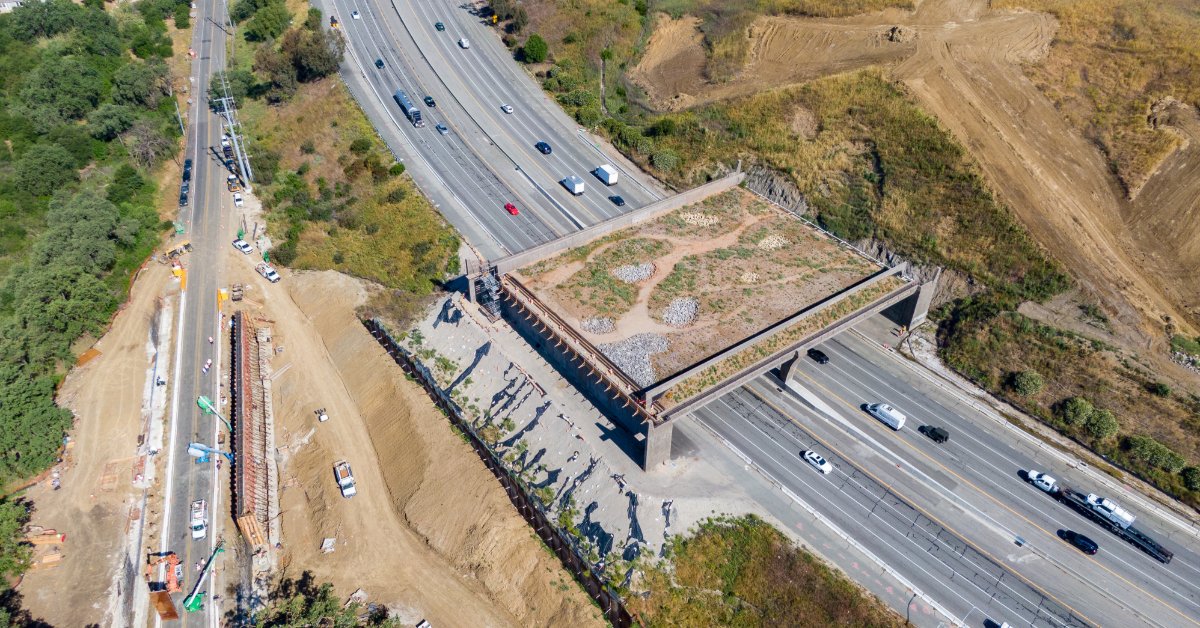 An aerial view of a large wildlife crossing that is built overtop of the US-101 freeway in California.