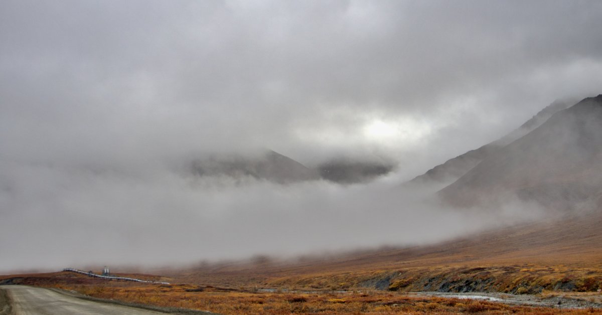 A view from a small dirt road in Alaska. There is a thick layer of fog obscuring the hills spread out beyond the road.