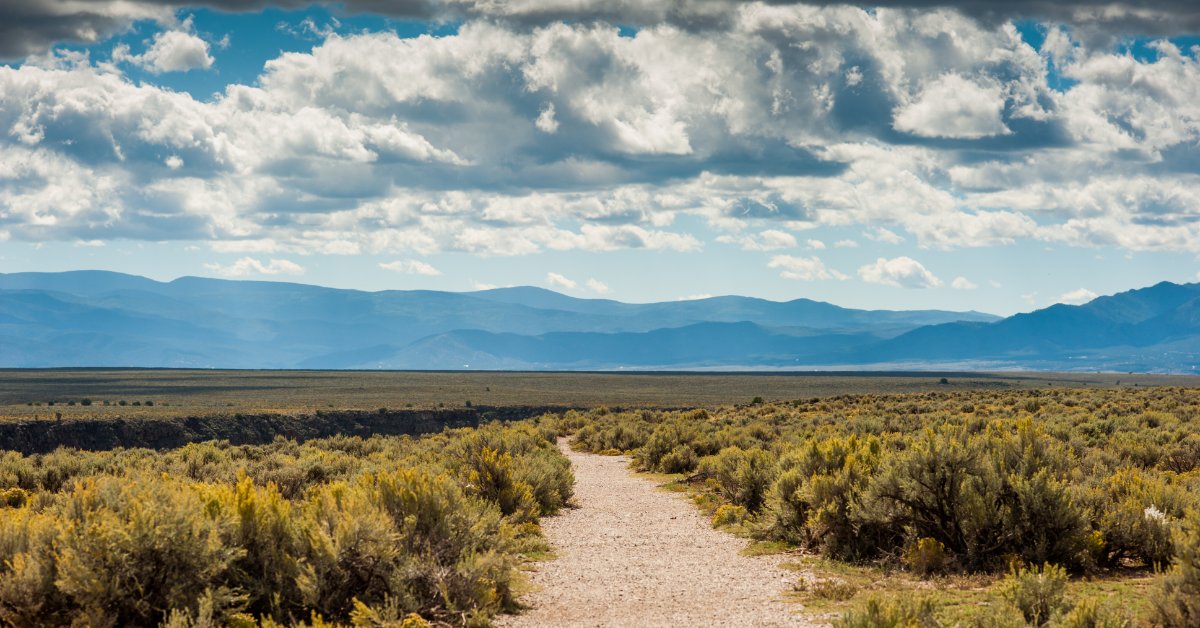 A dirt path cutting through some thick underbrush in the desert. The path leads to rolling hills in the distance.