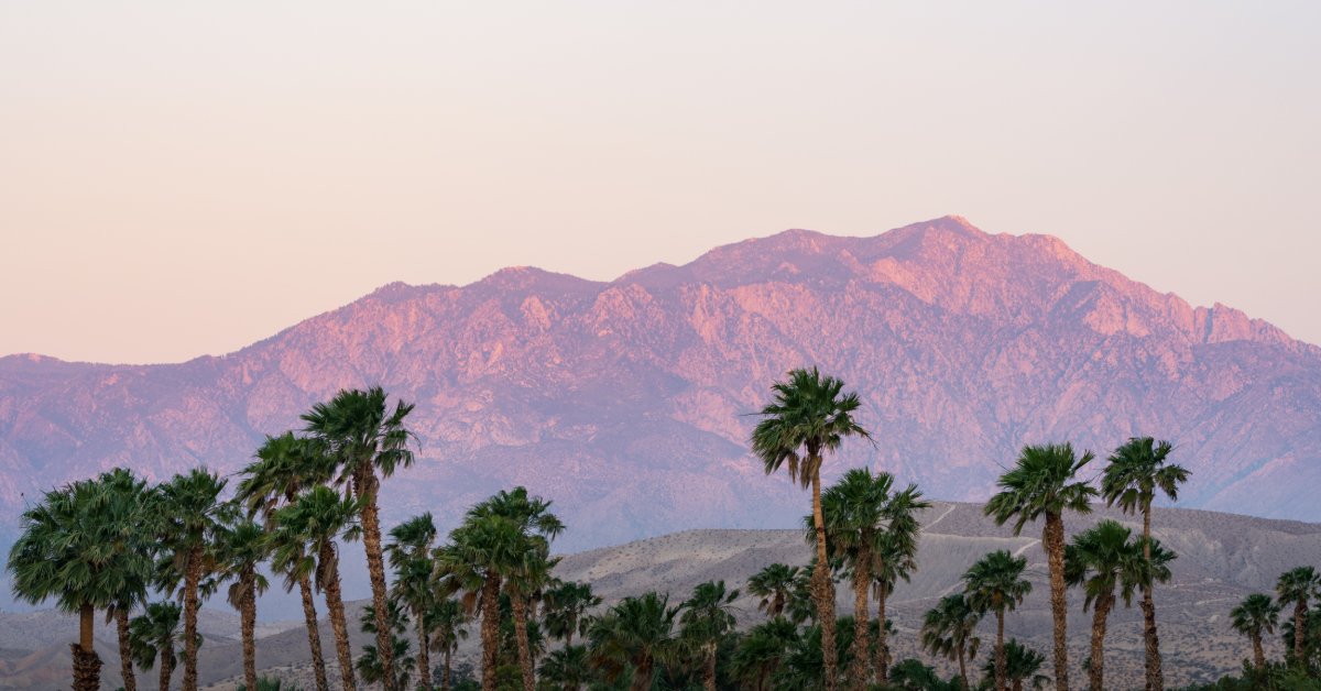 A large mountain range far in the distance in some fog. There are several palm trees in front of the mountain range.