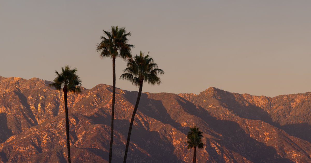 A mountain range in Los Angeles county. The mountains are just behind the silhouettes of some palms trees.