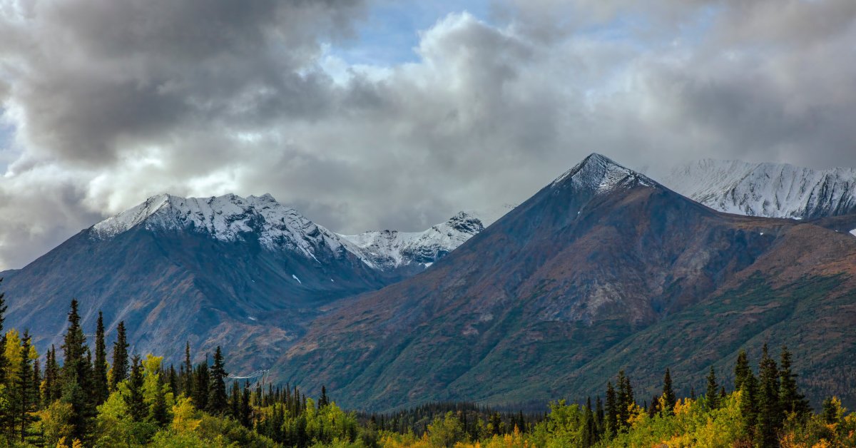 A mountain road snaking through a small forest. There are large snow-capped mountains in the distance.