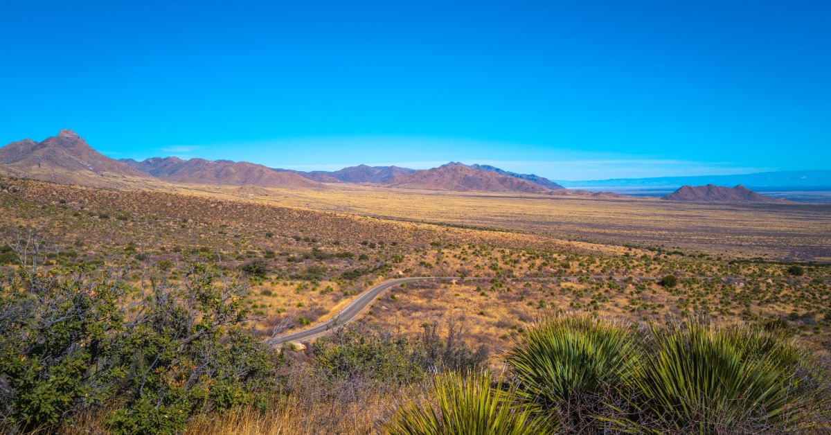 A wide shot of some arid plains with small shrubs scattered all around. There is a single highway cutting through the dirt.