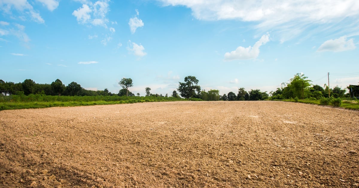 A large plot of raw land covered in soil surrounded by trees and long grass on a sunny day with a blue sky and few clouds.