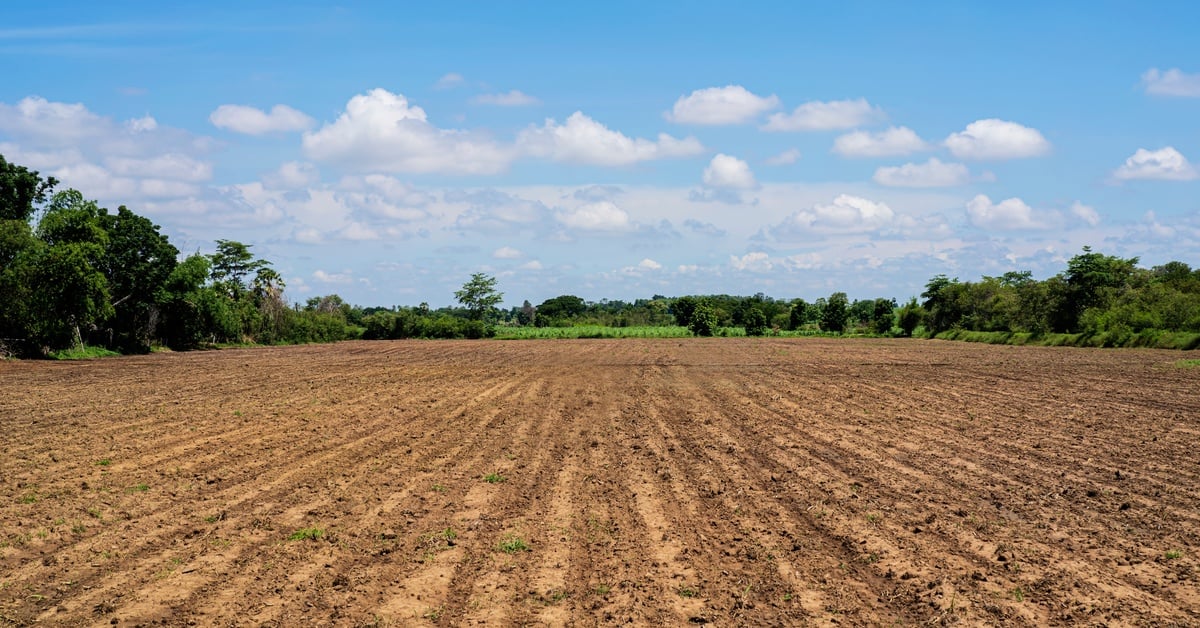 A large plot of dry land. The soil is cracked and tilled for planting. There are trees in the background and a blue sky.