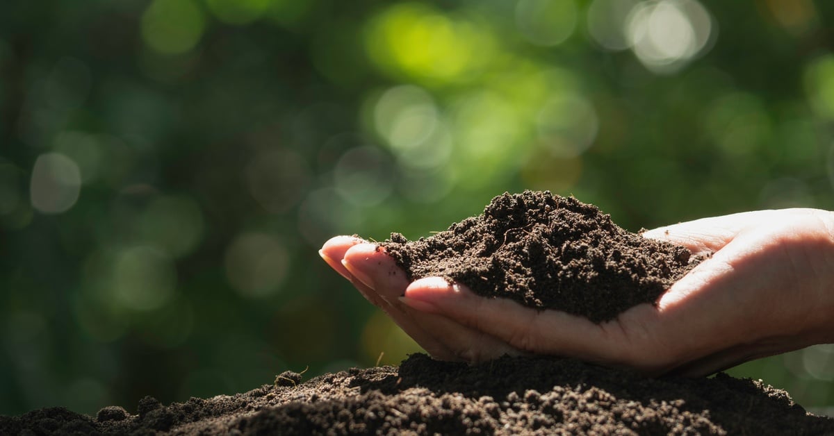 A hand cupping a small pile of soil and resting on a bigger pile. The background is blurry green, and the sun is shining down.