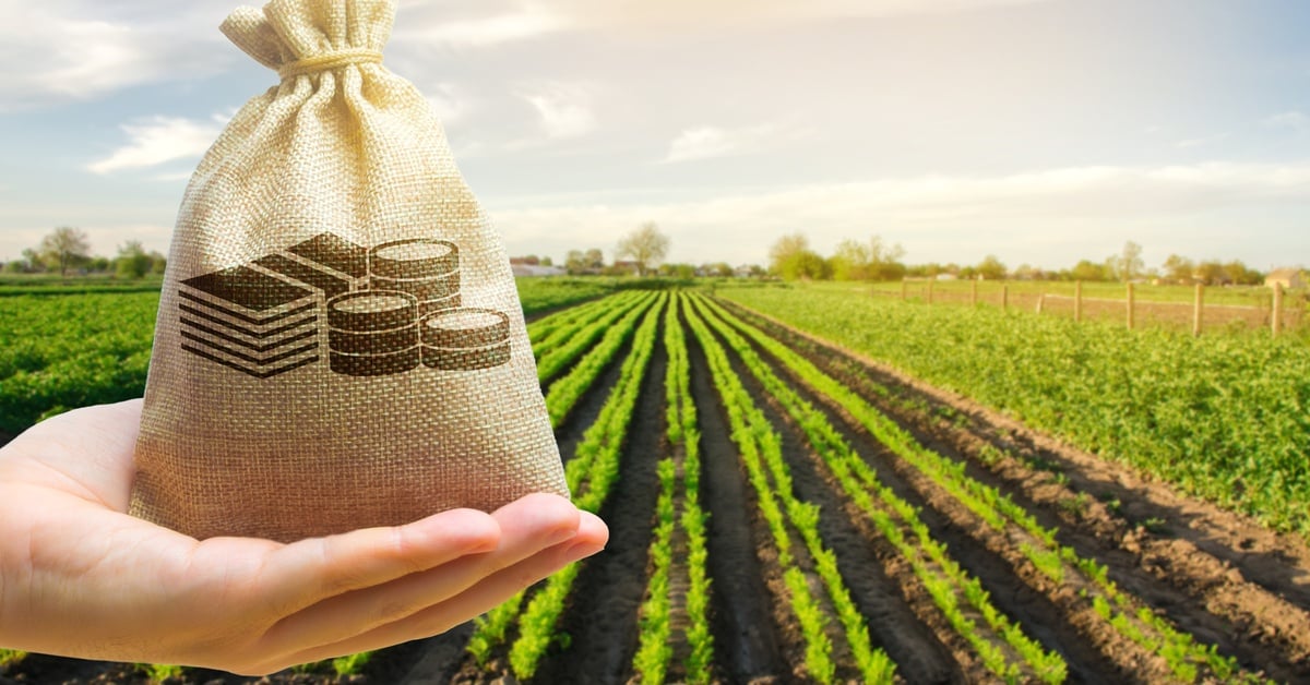 Close-up of a hand holding a small brown sack with a printed image of coins above land with multiple crop rows.