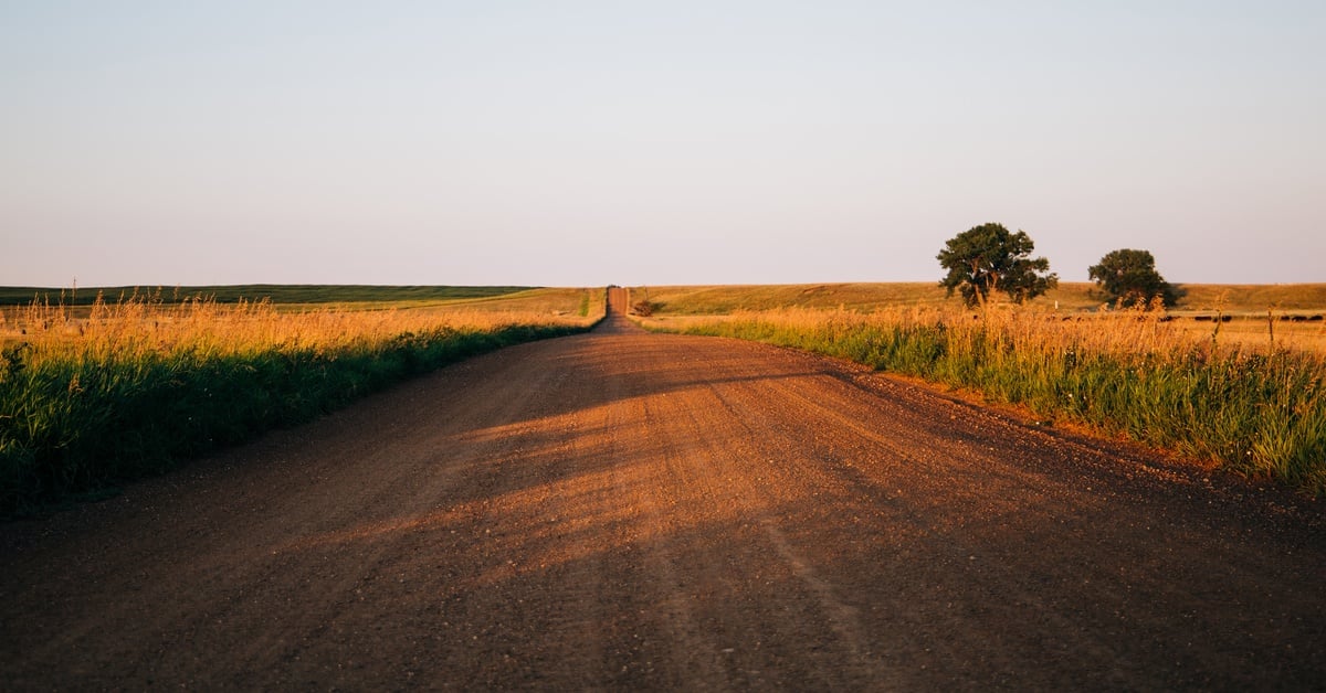 A wide dirt road in between a large wheat field with two isolated trees standing on one side during a sunset.
